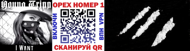Кокаин Fish Scale  omg ТОР  Новоалтайск 
