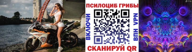 Псилоцибиновые грибы мухоморы  как найти закладки  Новоалтайск 