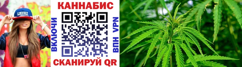 где купить наркоту  Новоалтайск  Конопля Amnesia 